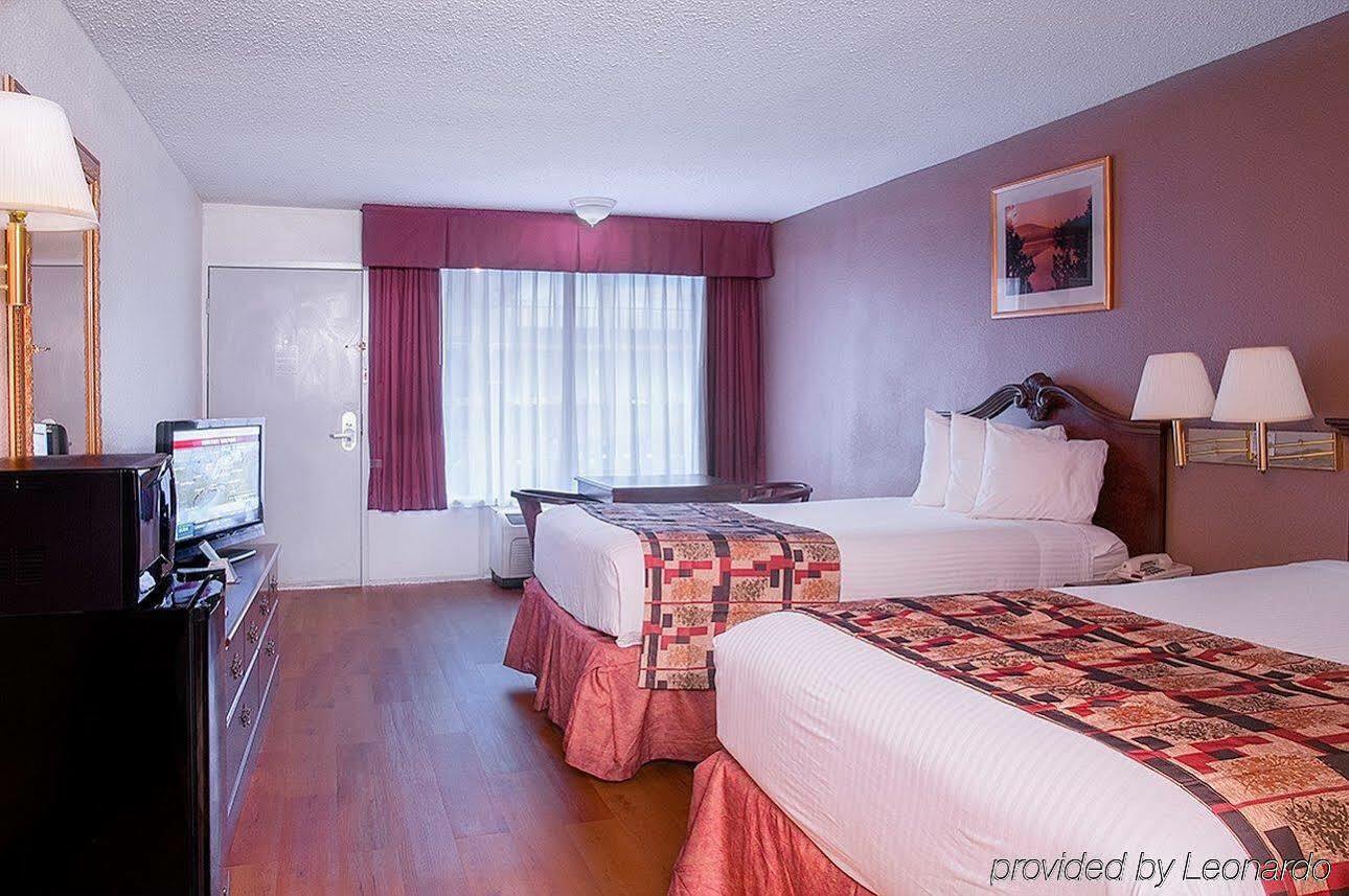 Best Western Greenville Airport Room photo